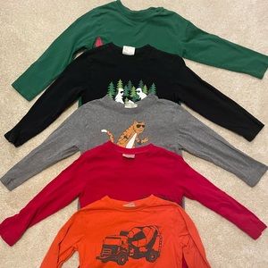 Lot of 5 Hanna Andersson size 110cm or US 5 long sleeve T shirts.